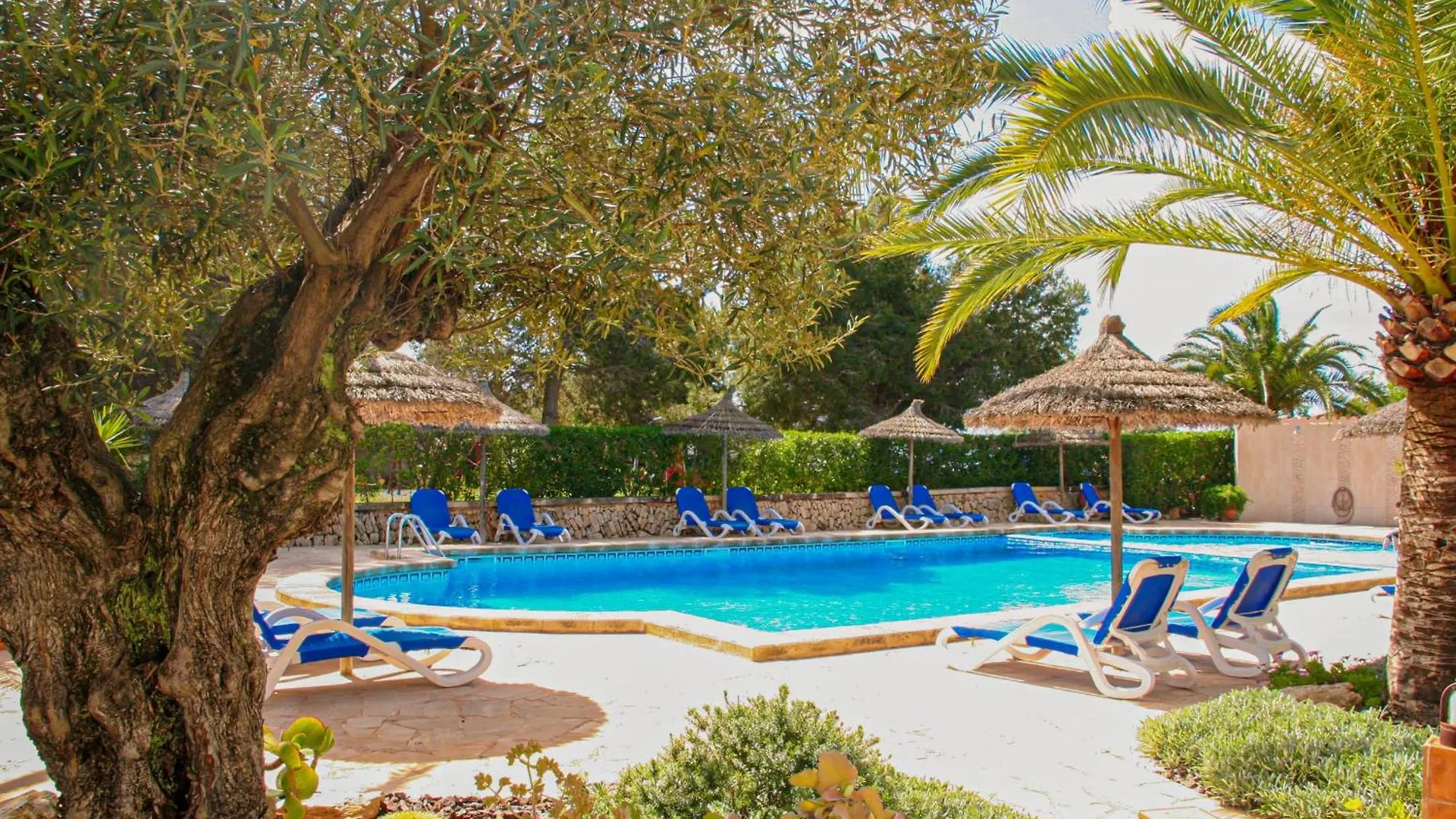 La Ardilla By Dracmallorca Santanyí Apartamento